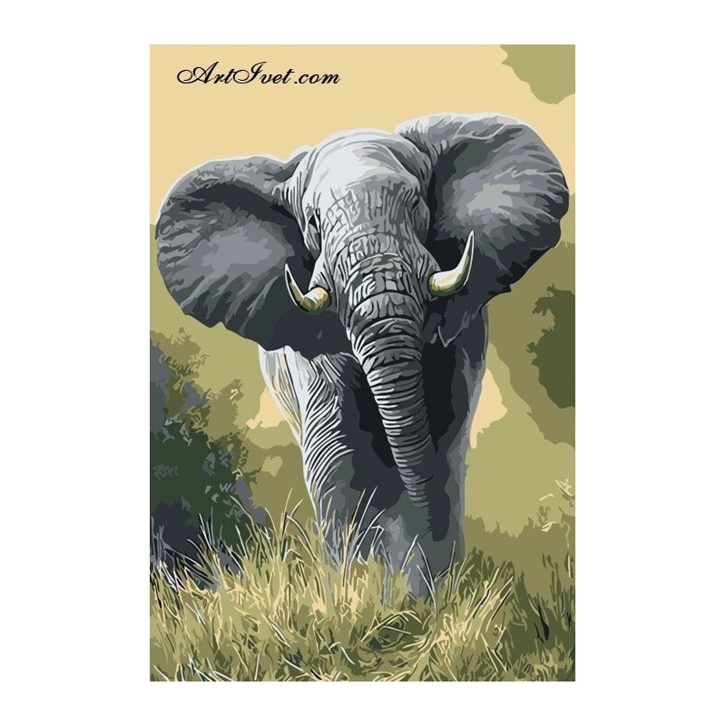 Картина по номера  -СЛОН