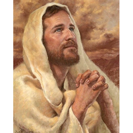 
     Картина по номера -МОЛИТВАТА НА ИСУС