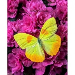 Картина за рисуване по номера - Жълта пеперуда сред лилавите цветя