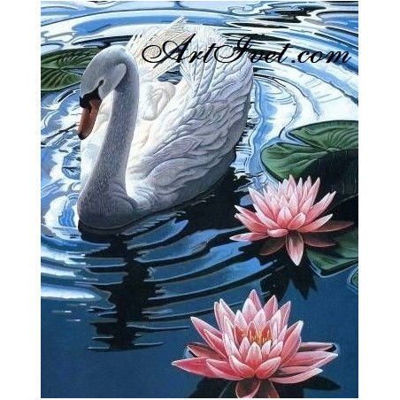 
     Картина по номера - Лебедът и водните лилии