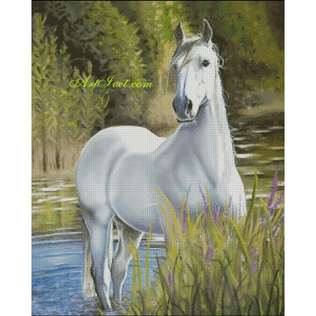 
     Картина по номера - Очакването на белия кон