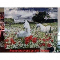 Картина по номера - Бели коне сред маковете