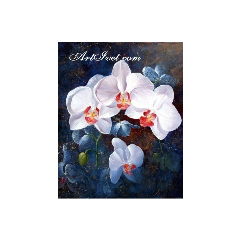 Картина по номера - Бели орхидеи