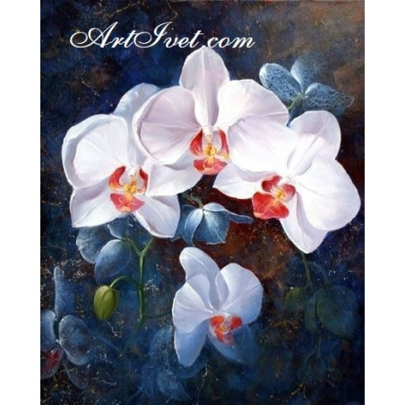 
     Картина по номера - Бели орхидеи