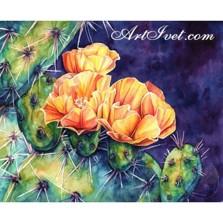 
     Картина по номера - Оранжевите цветове на кактуса