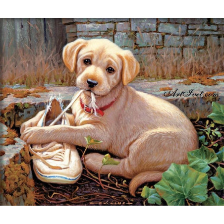 
     Картина по номера - Кученцето и обувката му