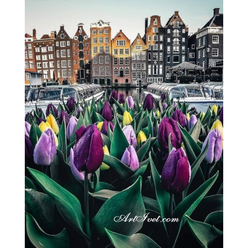 Картина по номера - Холандска сутрин с лалета