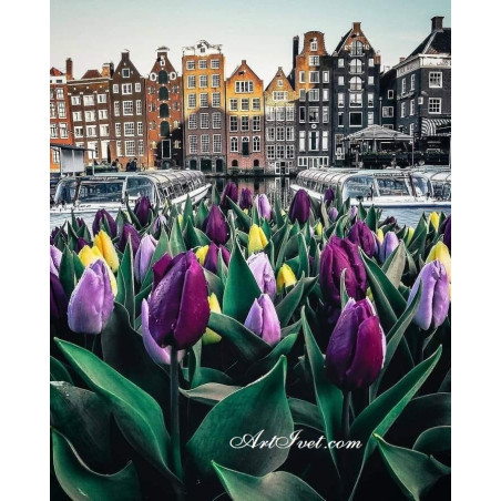 
     Картина по номера - Холандска сутрин с лалета