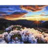 Картина по номера - Утро в планината