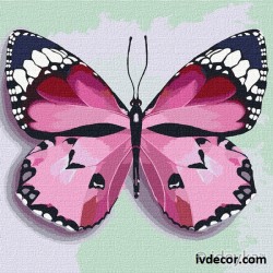 Рисуване по номера - Розова пеперуда
