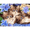 Картина по номера - КОТЕТА СРЕД СИНИ ЦВЕТЯ