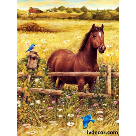 
     Рисуване по Номера - Кафявият кон и полето