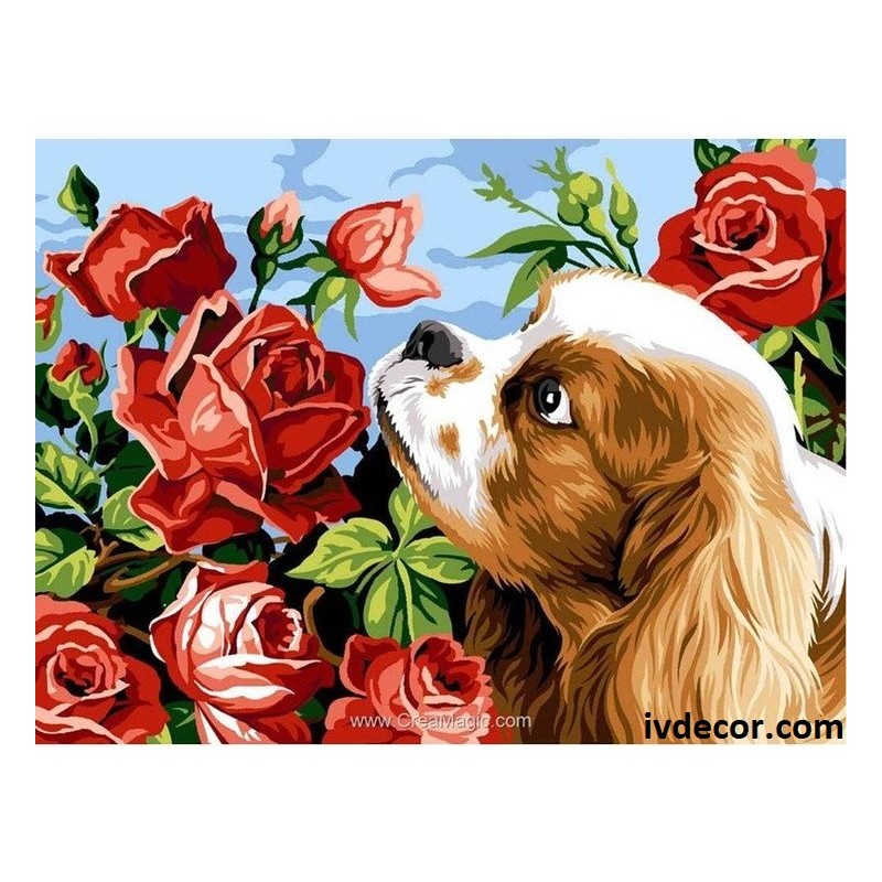 Рисуване по Номера - Доли и ароматните рози