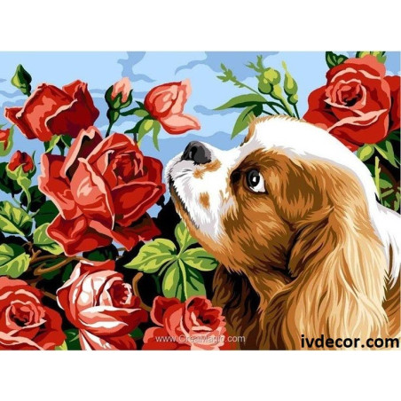 
     Рисуване по Номера - Доли и ароматните рози