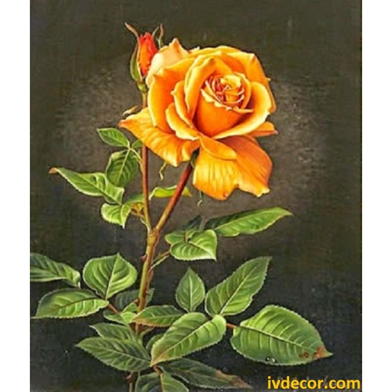Рисуване по номера - Оранжевата роза - символ на приятелството преминало в любов