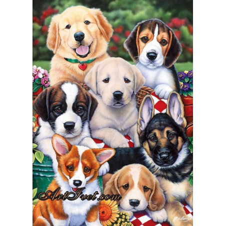 
     Рисуване по Номера (пълен комплект) - 7 сладурести кученца