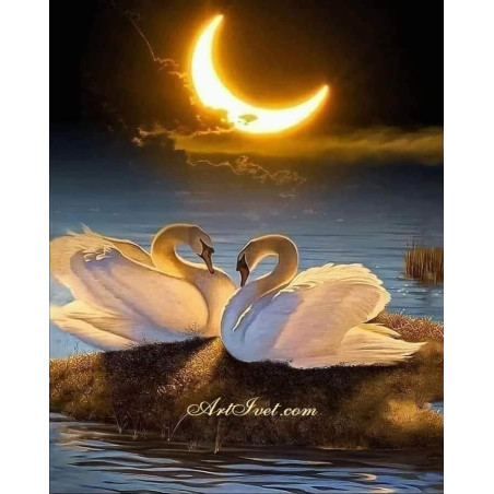 
     Рисуване по Номера (пълен комплект) - Лебеди на лунна светлина
