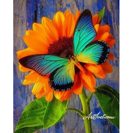 
     Пеперудени крила с оранжеви емоции