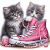 Рисуване по номера - КОТЕТА ДО СПОРТНА ОБУВКА 40х40 см.